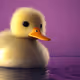 Duckracers
