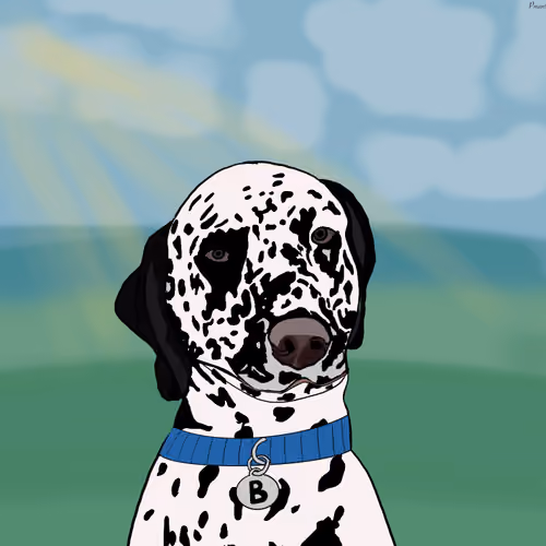 bert the dalmatian