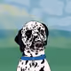 bert the dalmatian