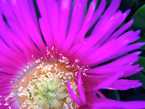 Item #101798116254510798330486236990451841615541533753866395116378150720201298018305 Media