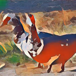 81269833061274051173789884418282317830923519221172308843662164524152026824705