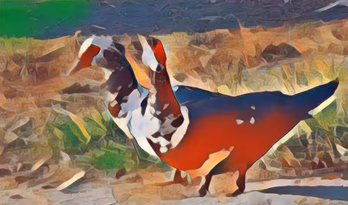 Item #81269833061274051173789884418282317830923519221172308843662164524152026824705 Media