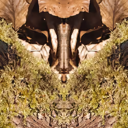 forestspirit #5