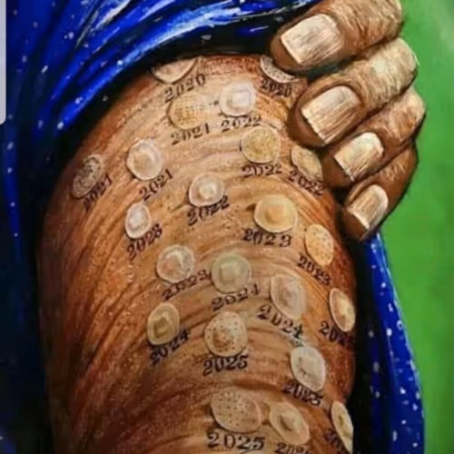 12027692443692290782358199755547083872347528166950390396769558902668687048705