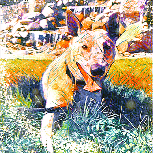Chevdog
