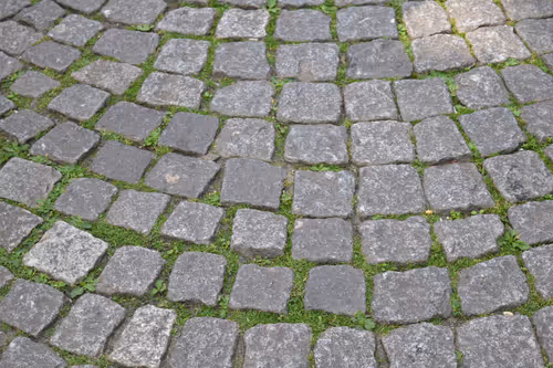 Item #916077490281078954391891268022086119289121145792755899354399161744567042049 Media