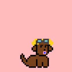 PunkPuppy #998