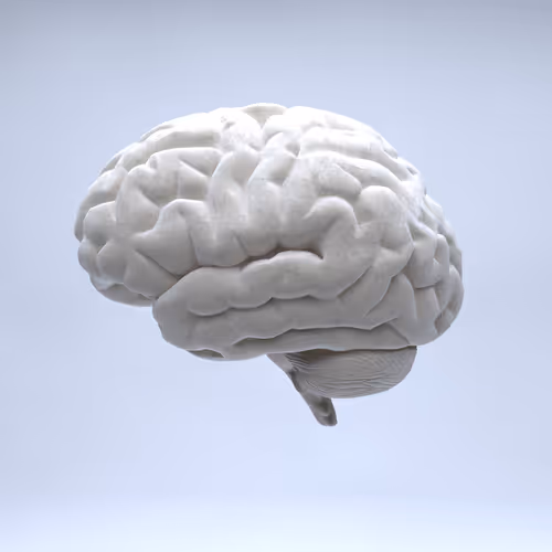 Item #77412820926303725204956055566925211190020908428863033075197849065389398425601 Media