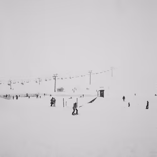 phams2cool Collection