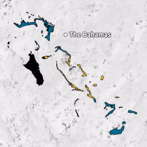 Item #11976756734337970498208291233410958730184699917260792952346209279329133658113 Media