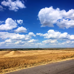 🇺🇦 Flag of Ukraine performed by nature 🇺🇦 Beautiful blue sky and yellow wheat field. 