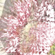 52057031482521914451355699638354177233454248336682430432905330136694508224513