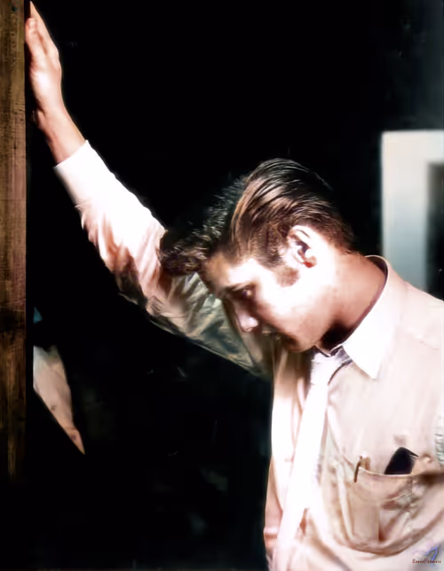 Item #81703717885701679420244426985503748541742411620896309859703145955173481840641 Media