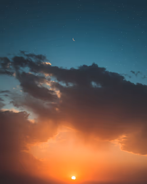 Item #9516099056367242152996622501750151802451978225621664057436231497335888150529 Media