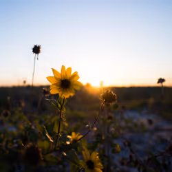 5159867049349733485857806564982430960448309033464066462878907917139078807553