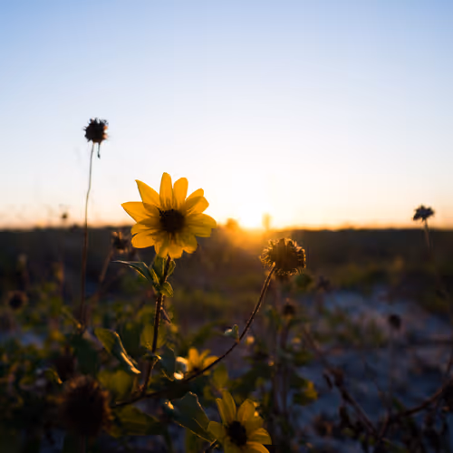 5159867049349733485857806564982430960448309033464066462878907917139078807553