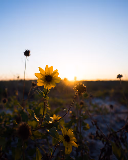 Item #5159867049349733485857806564982430960448309033464066462878907917139078807553 Media