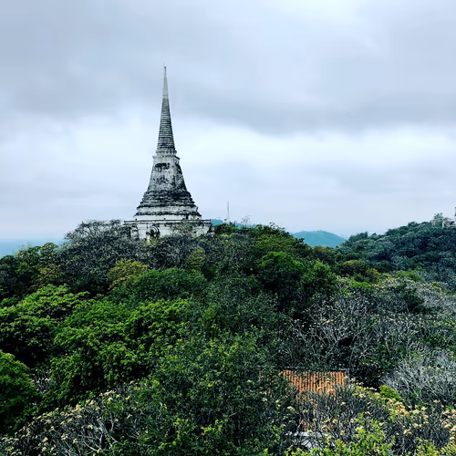 arttortoise Collection - old - old