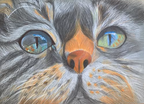 Item #111188497165517255582288131045700876298249441681647616886138016642960797466627 Media