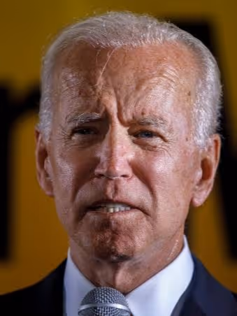 Untitled Collection #549110454