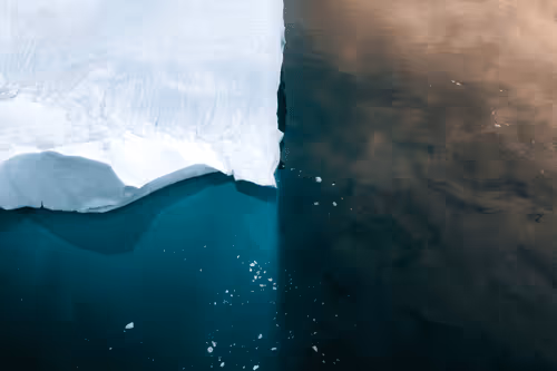 Deja entendu - A thank you to my collectors