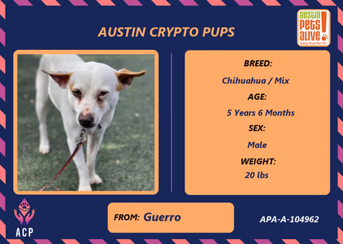 Item #17951378556605612276483806045649535824451571419947225201384628578821710282753 Media