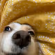 43511572982070243382312808557139669584565926843235580774791833520524473925633