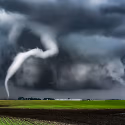 46154160826271547341634704556143841503597126410650149385483954190950202343425