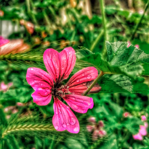 The beauty of nature