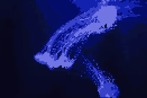 Splash