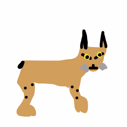 Bofanimals