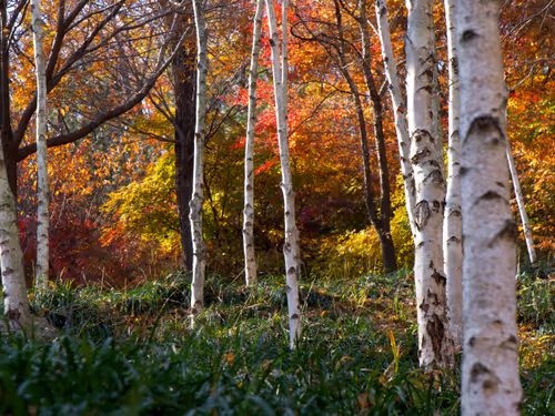 Item #15099377614674255729827518037484709840880486279639044345484425430220159320065 Media