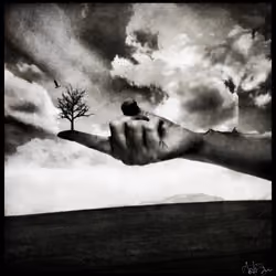 "A Touch of Life"