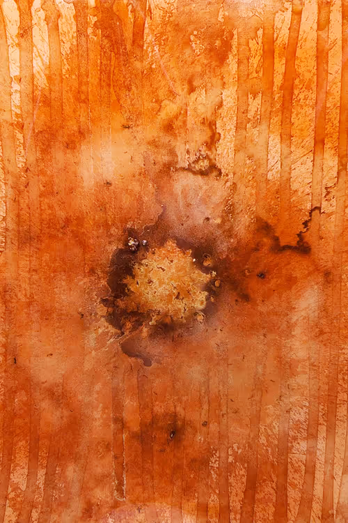 Item #111264774895172989553606282022194155892745764425417346937131400113551554117633 Media