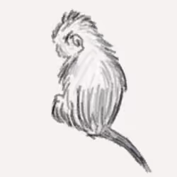 Lonely-Monkey-Sketch #1 