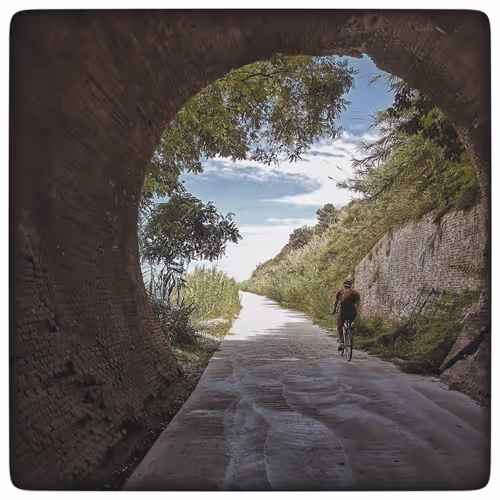 Item #115063816418514951154258762127288984100481774672699272562835740842850619752449 Media