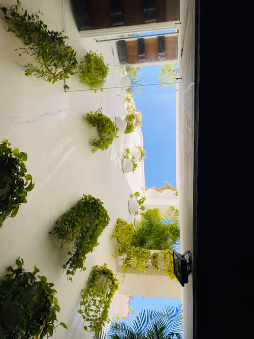 Item #41673148381276602242118576638571883015956905201675020614810101424784538599449 Media