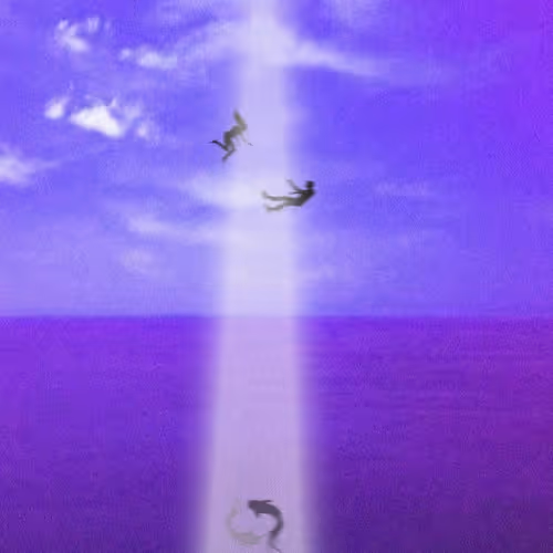 Introspection666