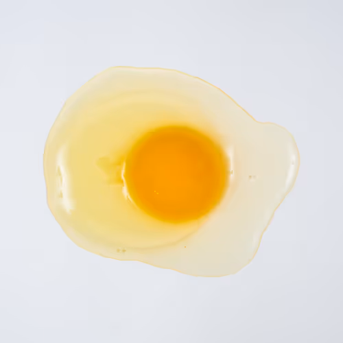 Friedeggsnfts