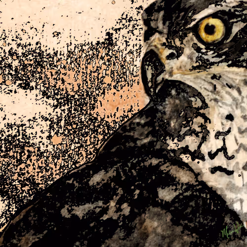 Item #52602733698061998919098162998524005222518208816265270304473996163304587788289 Media