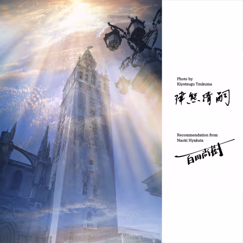 Item #50363599063163147153613145821536573388188757472313701897706766314360478367745 Media