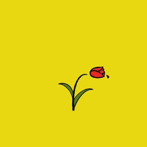 Dancing Tulip