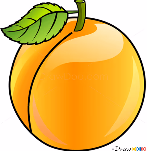 apricotkiwininja Collection