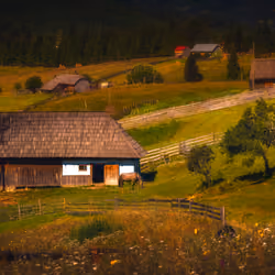 Pastoral #5