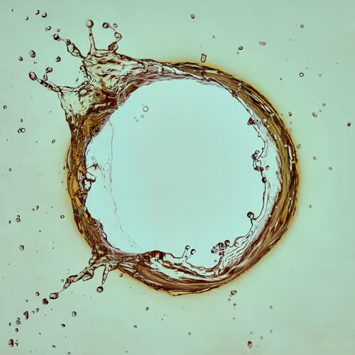 Item #46489901761508154690977052556102681350934379687164571149816291752478630739969 Media