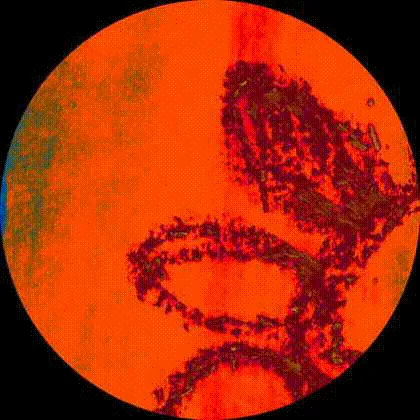 Item #36852278608857291470989576231944557876708875347652874372458497578170633420801 Media