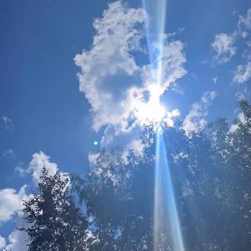 Untitled Collection #35931051