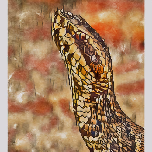 55704534837685659622621715309832868758345944585427688586690141460843831754753