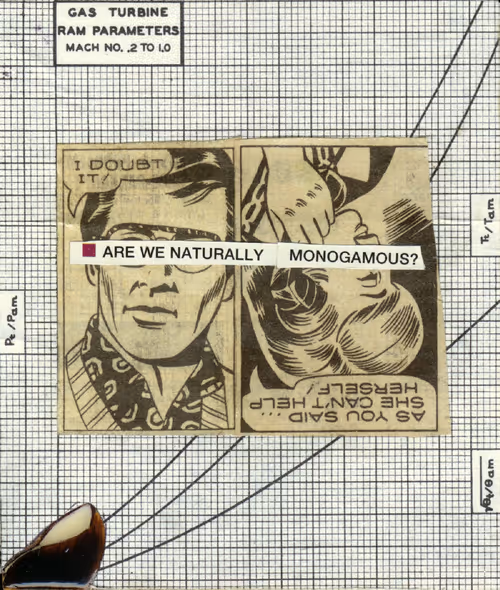 Item #83537820158197579288683679296722743106348371715068758034174859259908548722689 Media