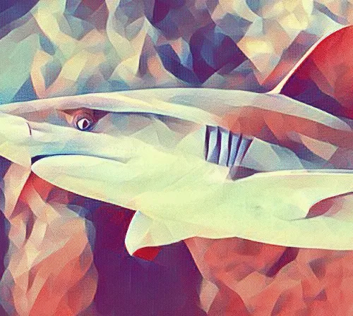 Polyxanimal